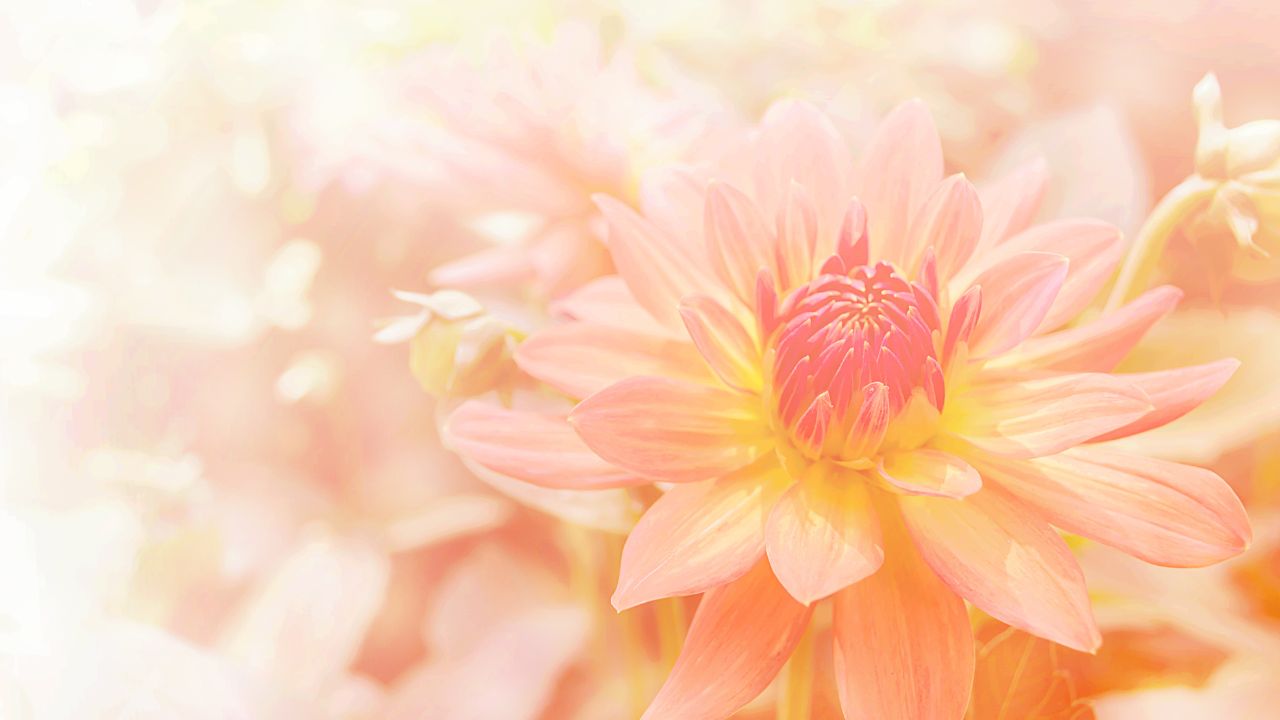 女性が満ちると、世界は幸せになる